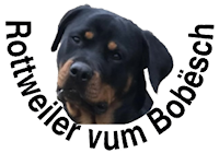 Der Rottweiler - rottweiler.lu